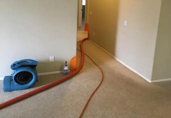 Expert Carpet Cleaning Services in Kemah, TX
