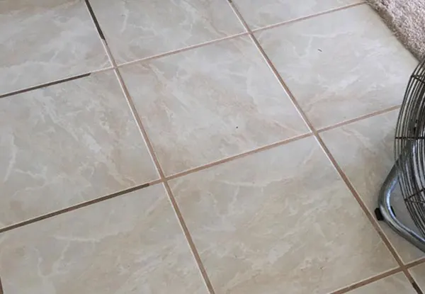Tile & Grout Cleaning and Sealing Texas City, TX
